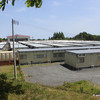 Japan_Tokyo__Schröpfer__29.JPG