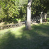 IMG_3960.jpg