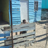 DSCF1364.jpg