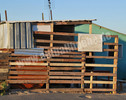 4-DSC_4077.jpg