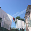 DSCF1363.jpg