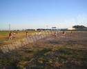IMG_4409.jpg
