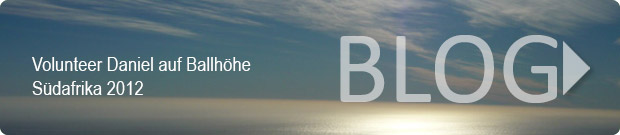 zum Blog